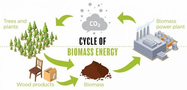 Biomassapolttoaine voidaan muuntaa suoraan lämpöenergiaksi polttamalla