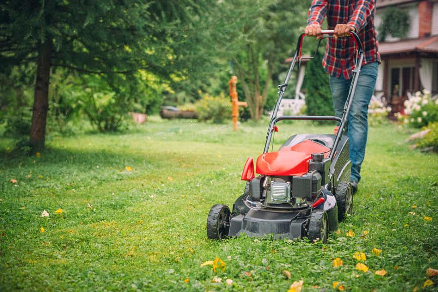 Keskimääräinen kodin nurmikko on 10000 m2 eli 929 neliömetriä