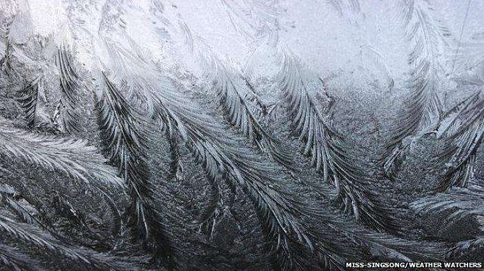 Kun lämpötilan odotetaan laskevan 36 Fahrenheit-asteen