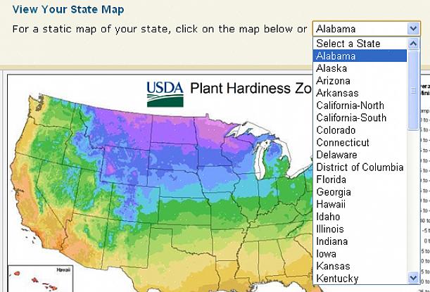 Arizonan USDA: n kestävyysvyöhykekartta