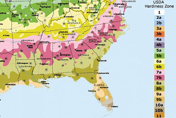 Florida USDA: n kestävyysalueet