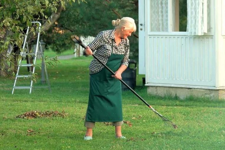 Puutarhanhoito on todella hyvää liikuntaa