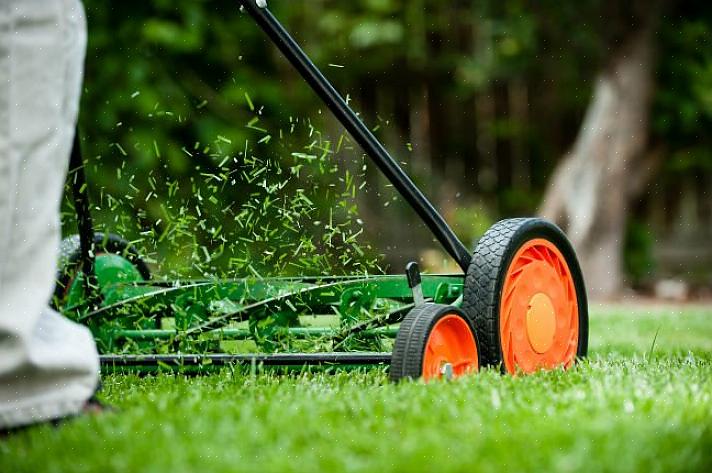 Mutta jos sinulla on todellakin vain pieni nurmikko leikattavaksi