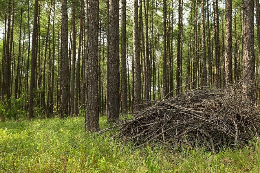 Ihannetapauksessa suuremmat oksat ovat hyödyllisempiä pitämään kasa vakaana